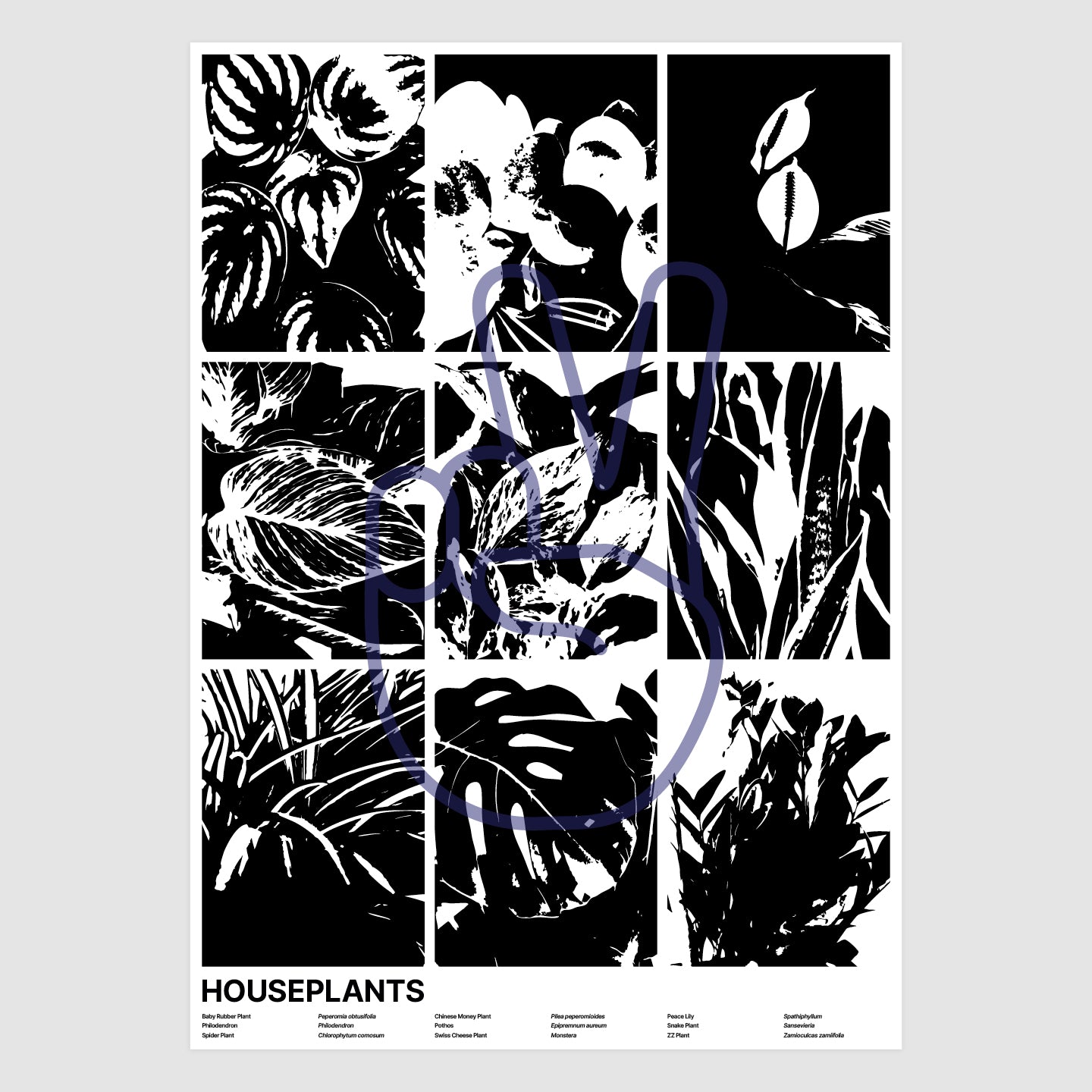 Houseplants