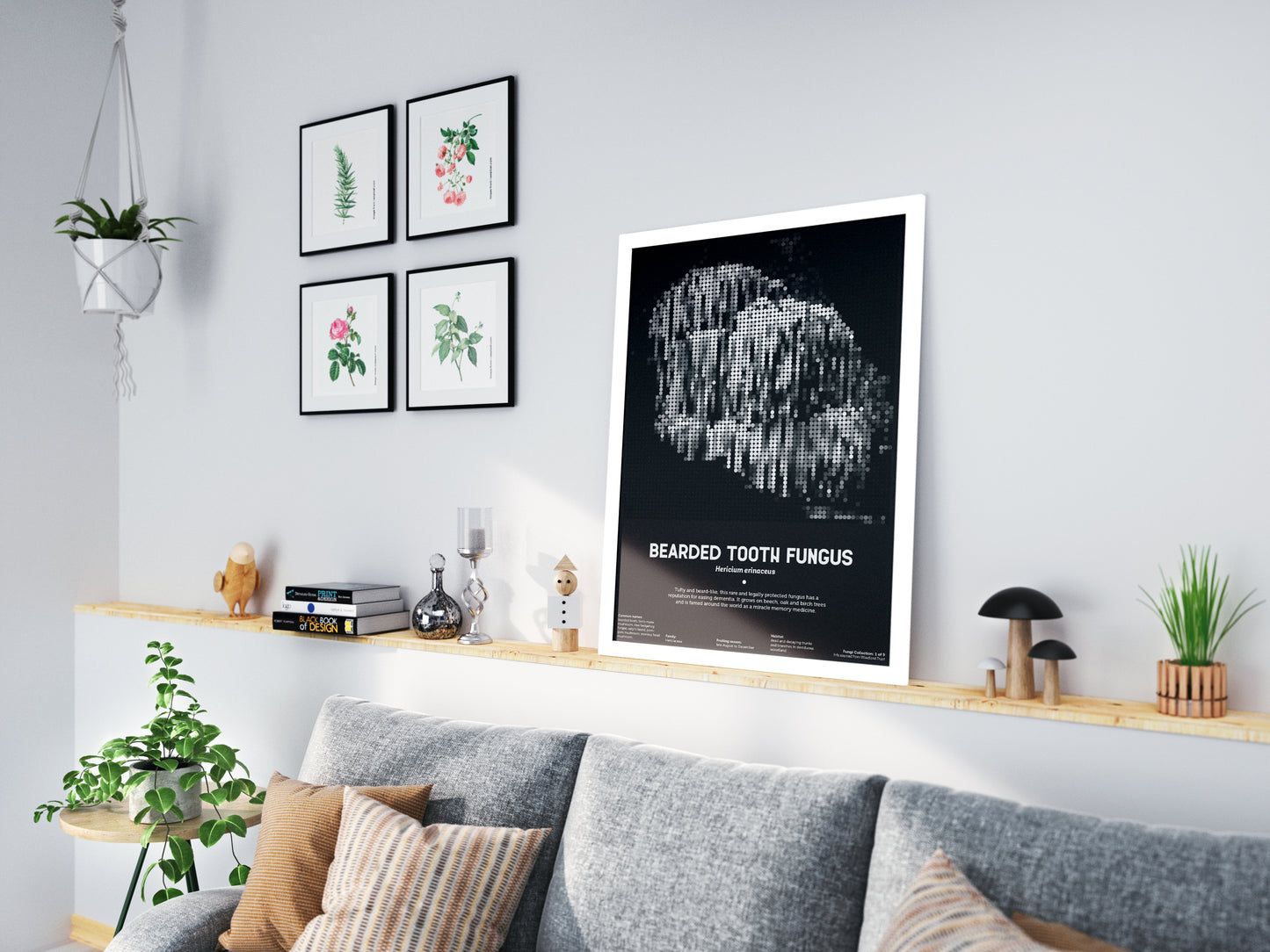 Bearded Tooth Fungus (Lion's Mane)