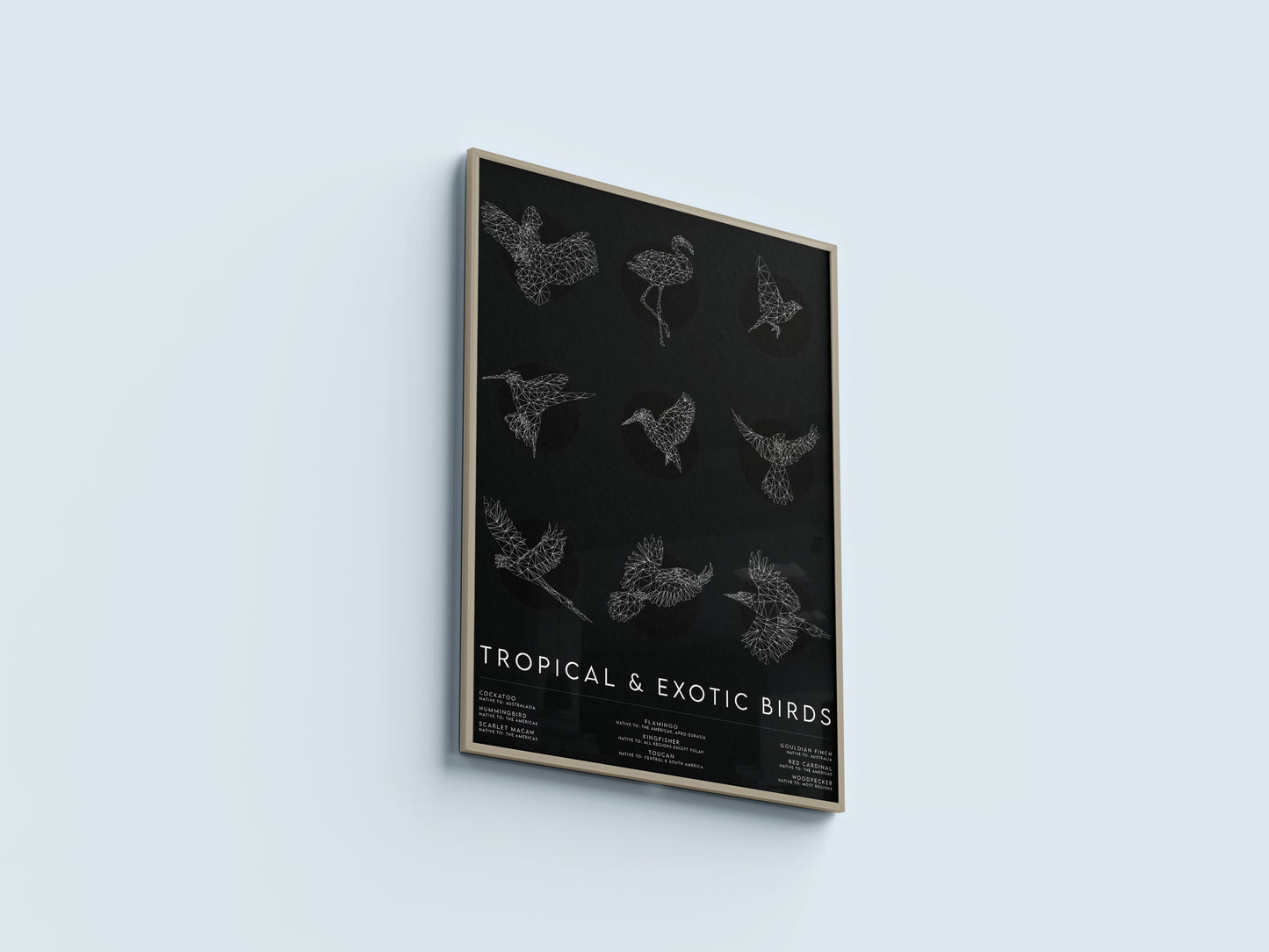 Tropical & Exotic Birds