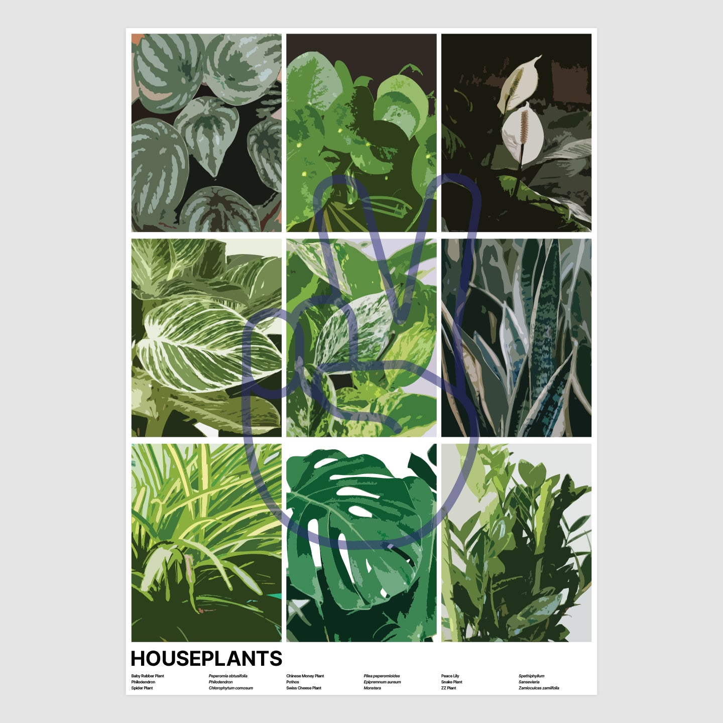Houseplants