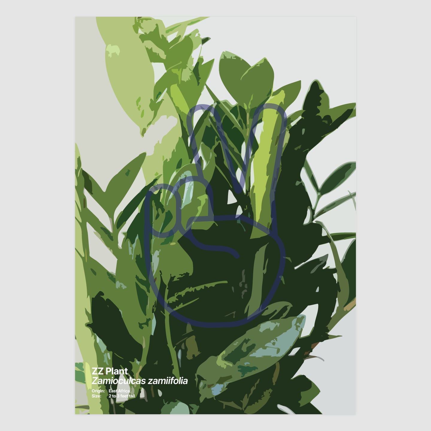 ZZ Plant