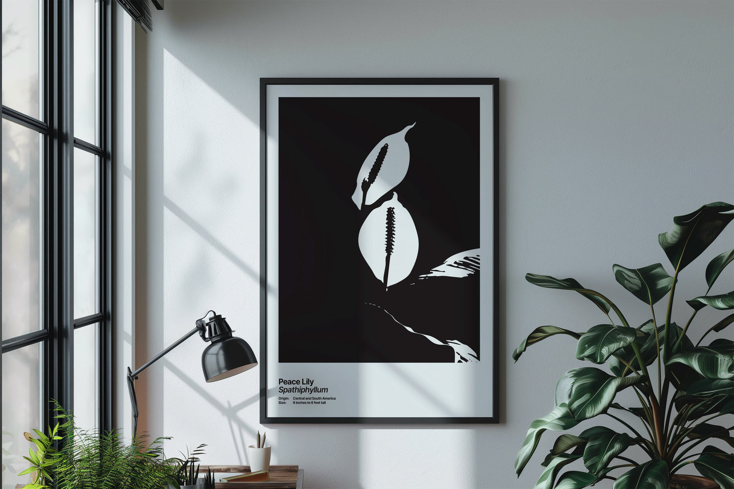 Peace Lily