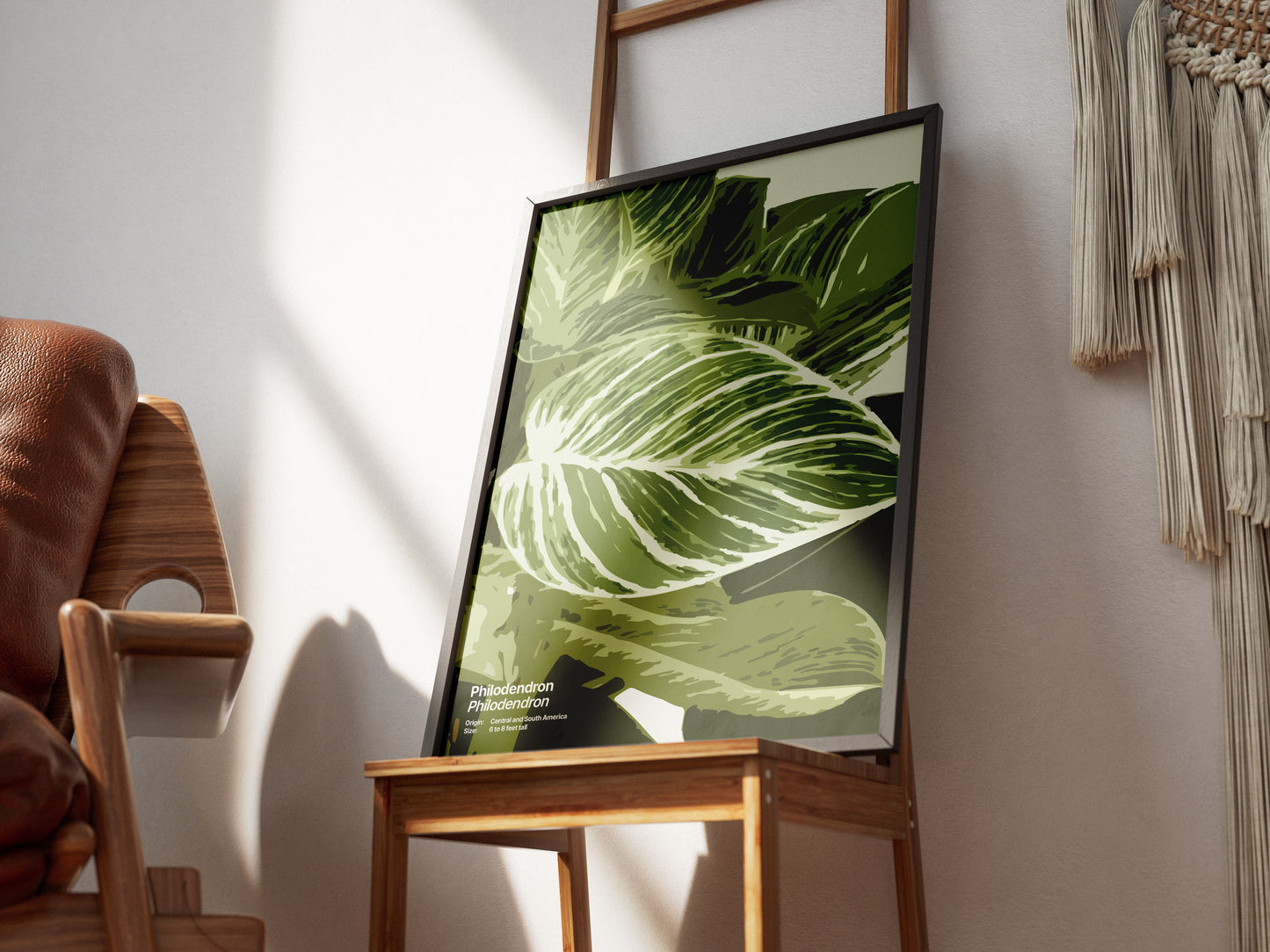 Philodendron