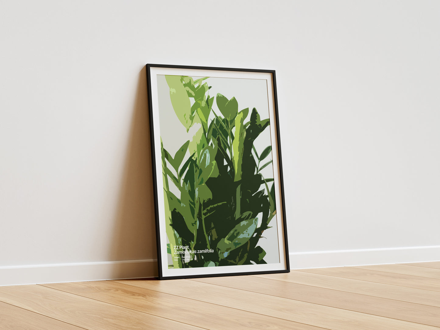 ZZ Plant