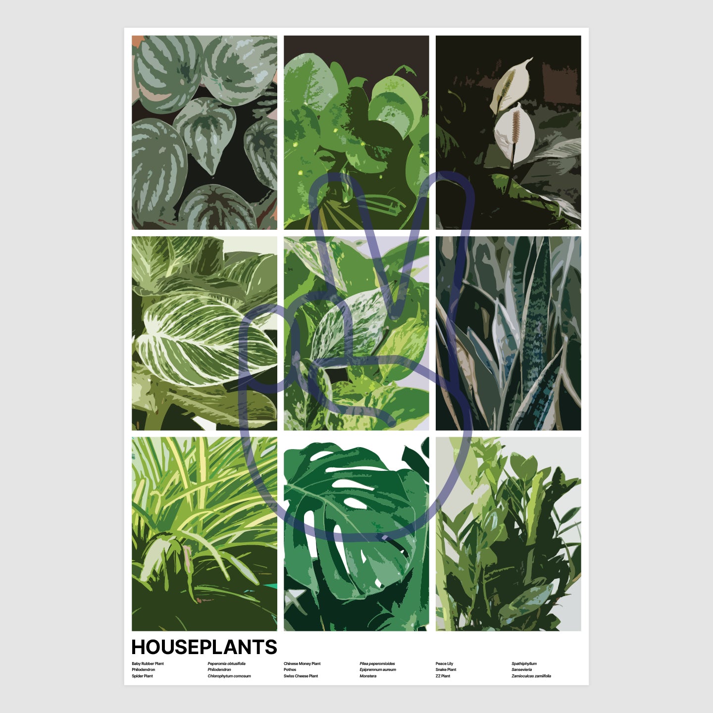 Houseplants