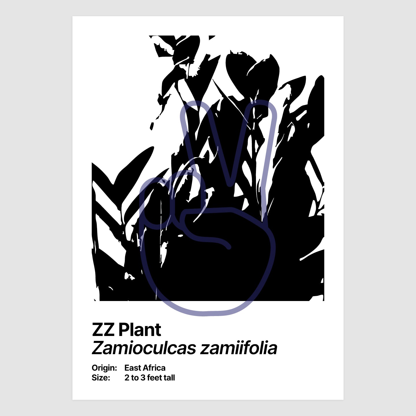 ZZ Plant