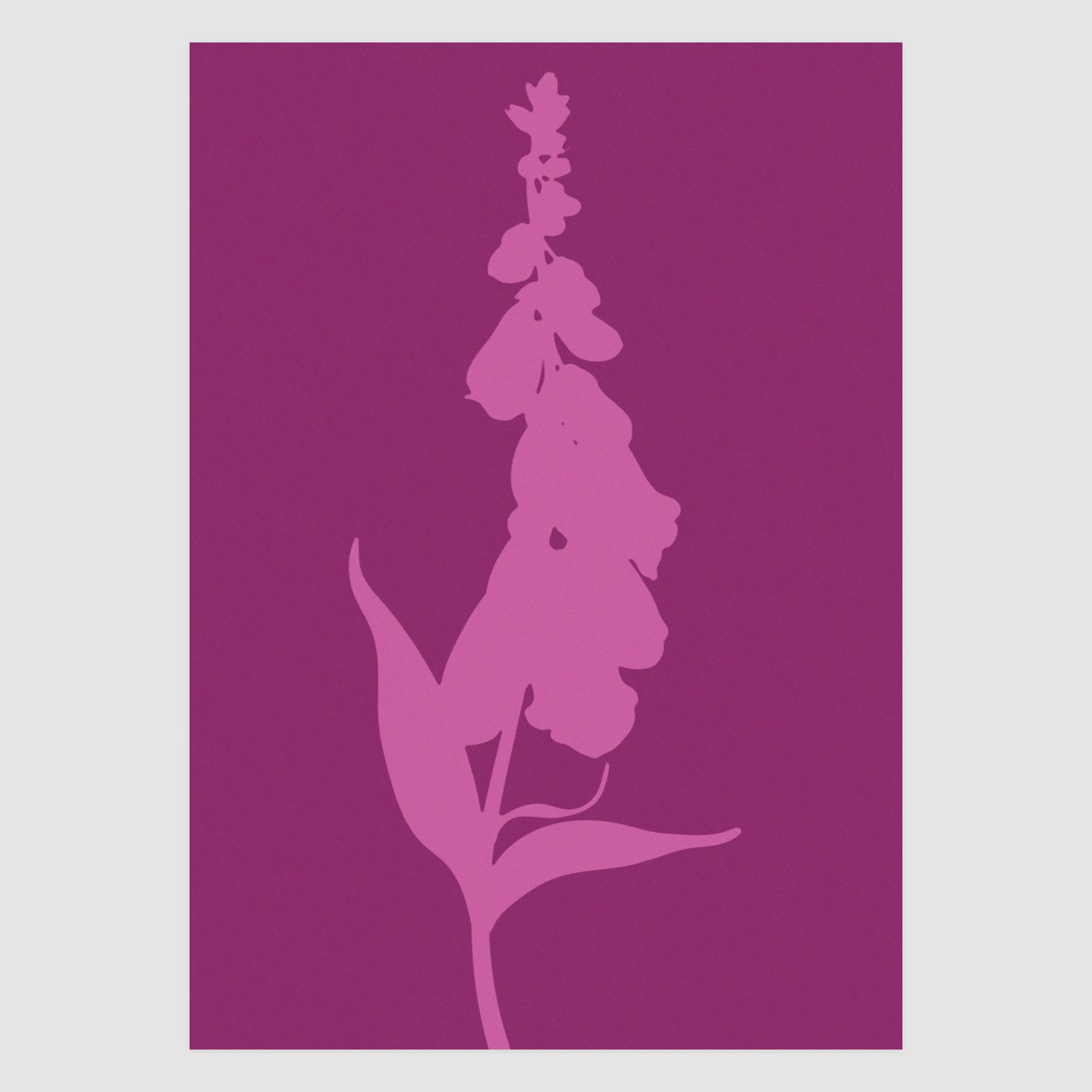 Foxglove No.2