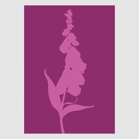 Foxglove No.2