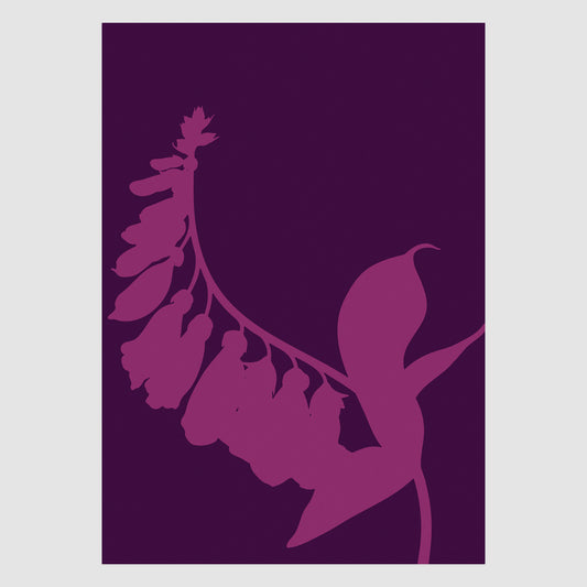 Foxglove No.3