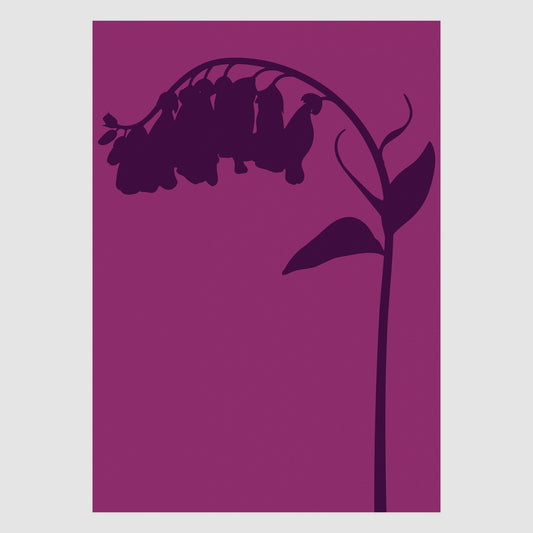 Foxglove No.5