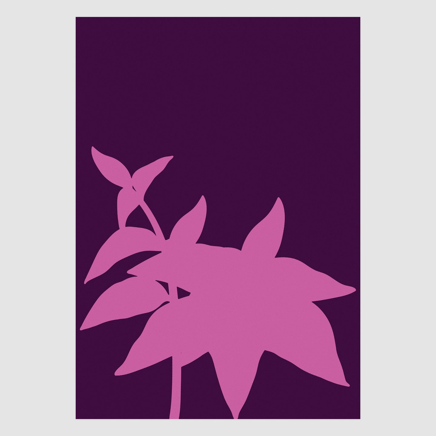 Foxglove No.6