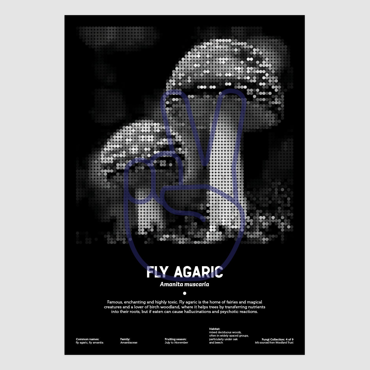 Fly Agaric