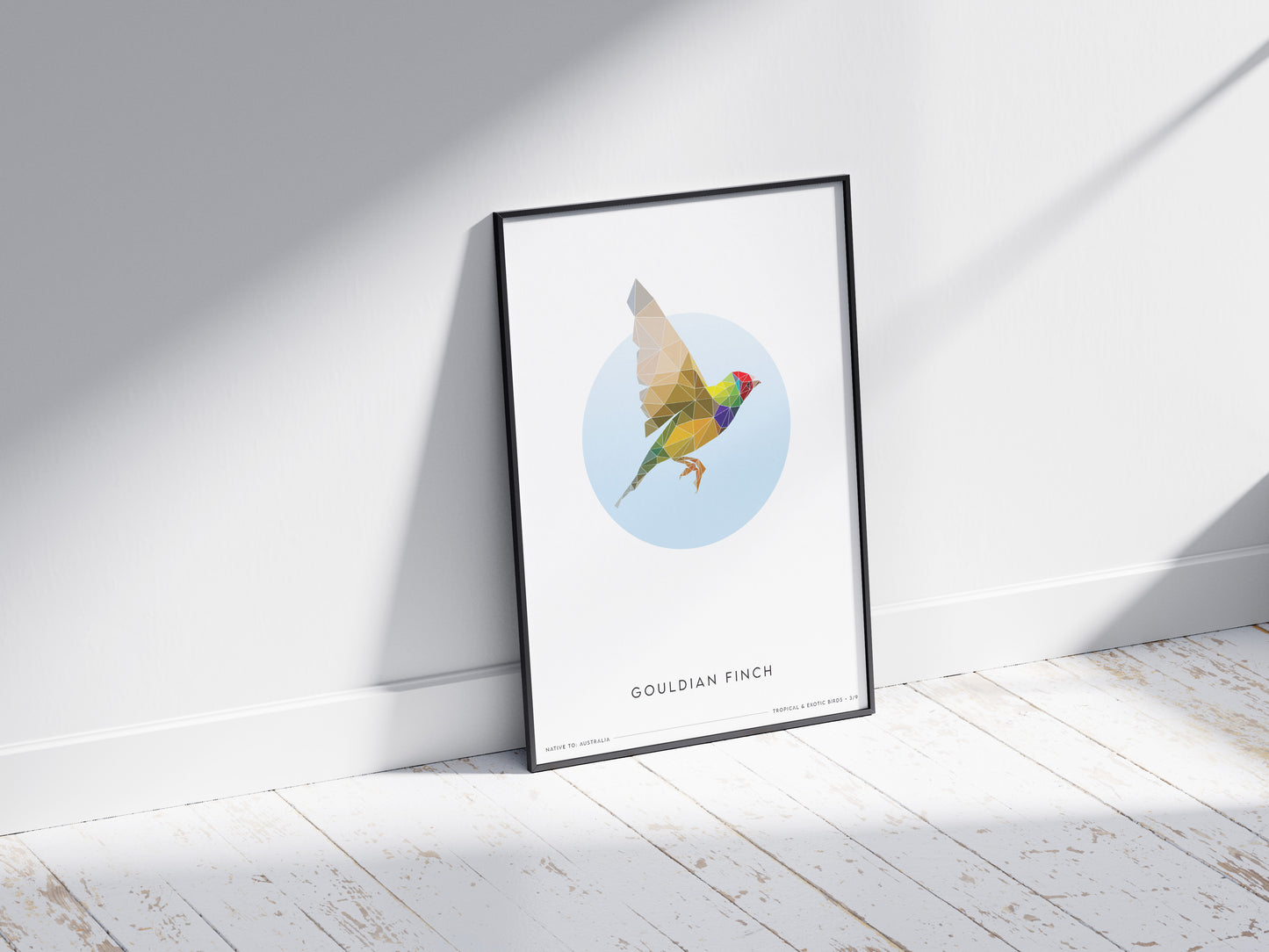 Gouldian Finch