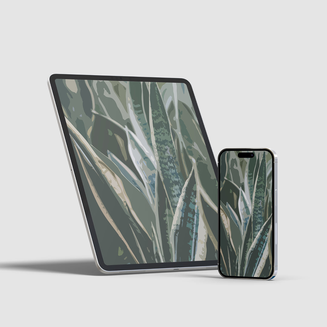 Snake Plant