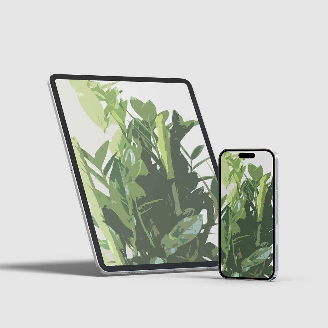 ZZ Plant