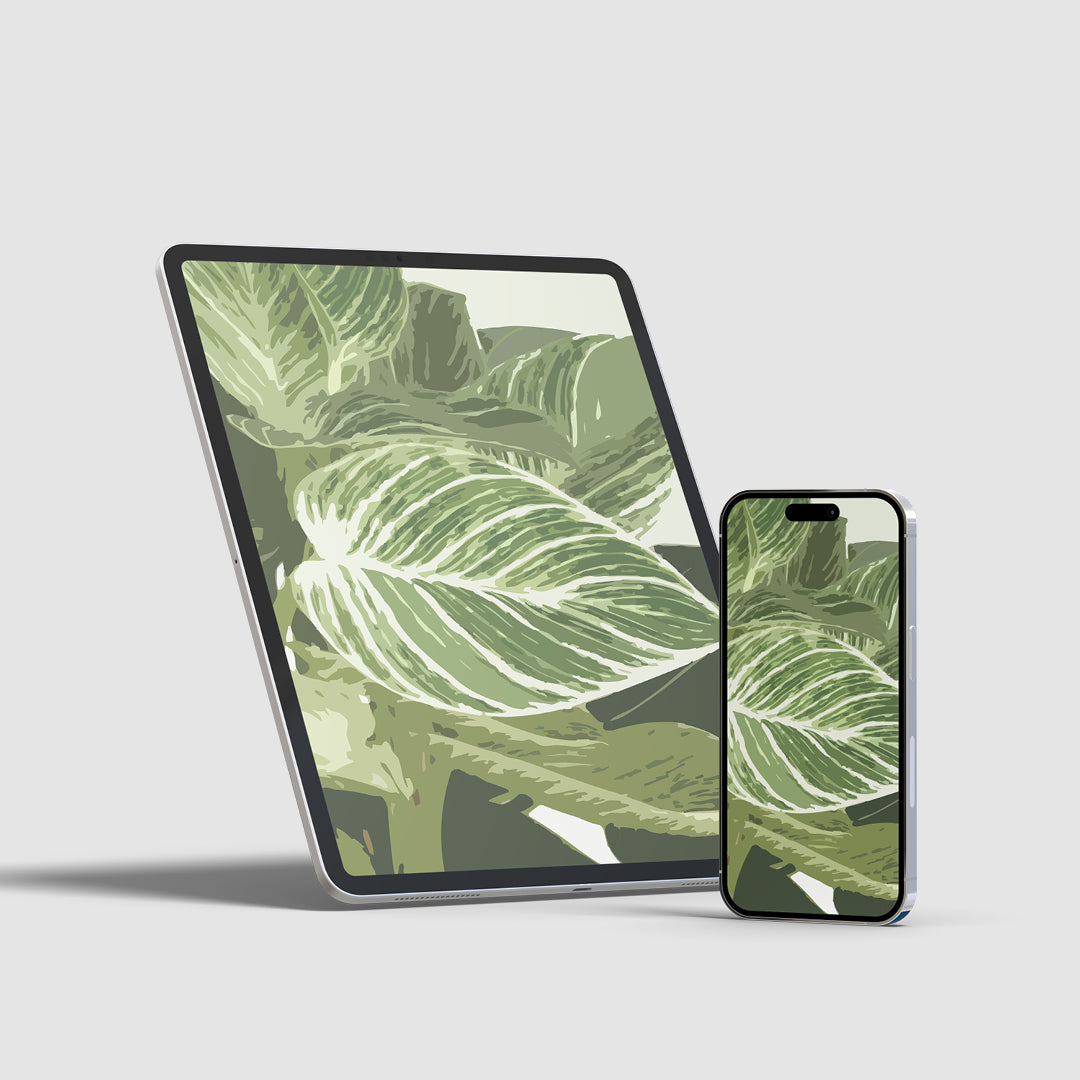 Philodendron