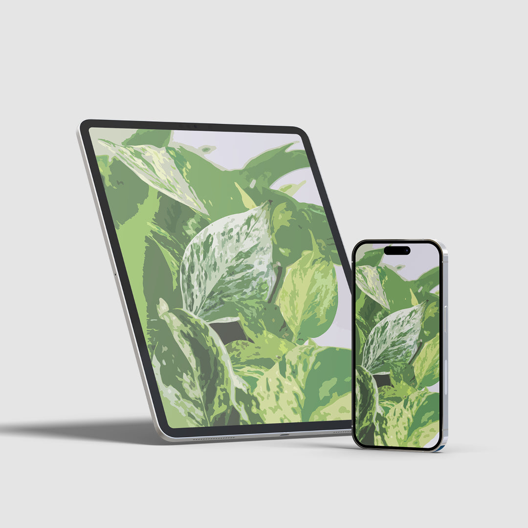Pothos