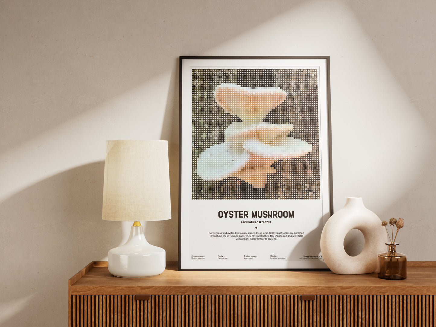 Oyster Mushroom