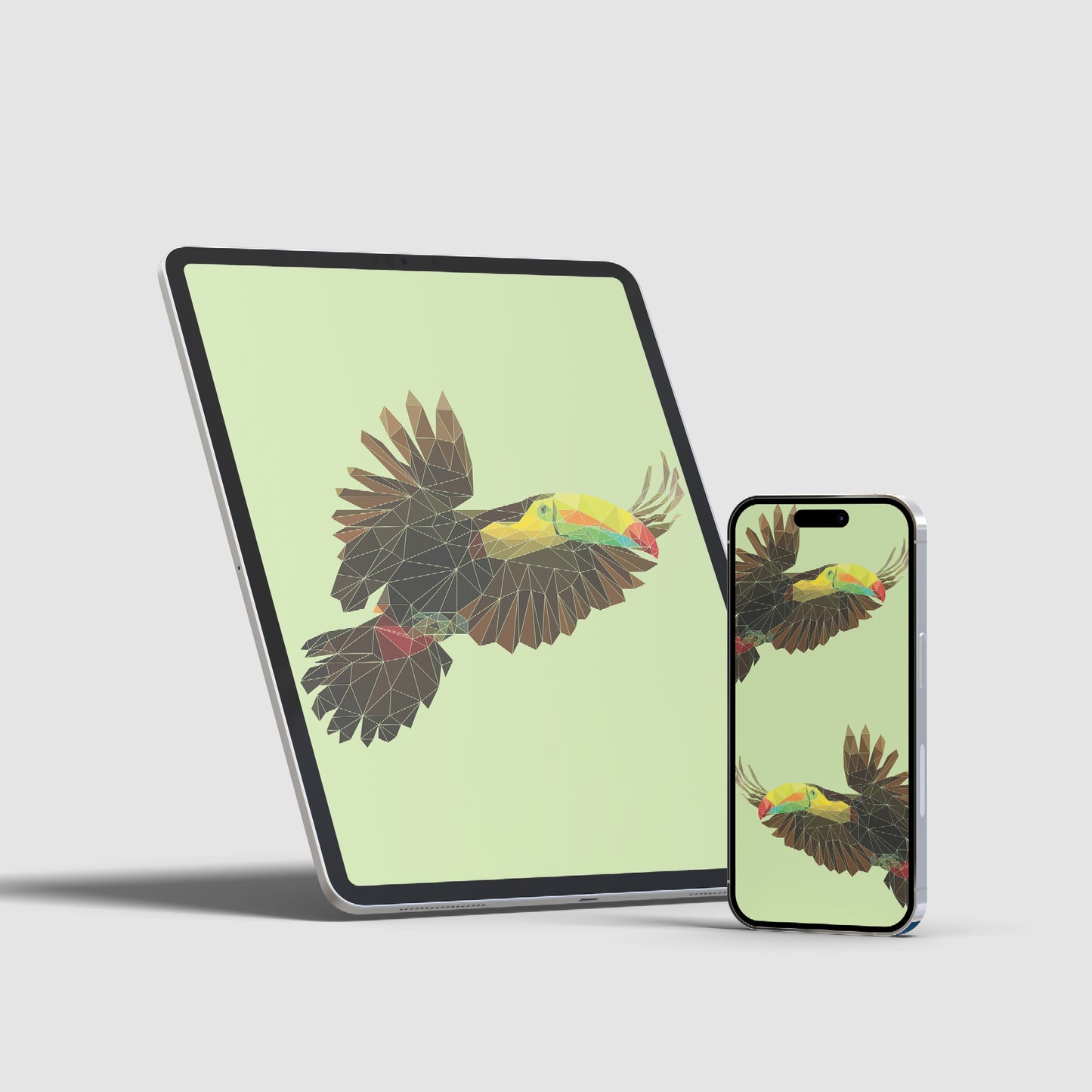 Toucan