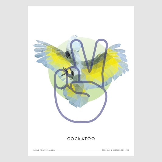 Cockatoo