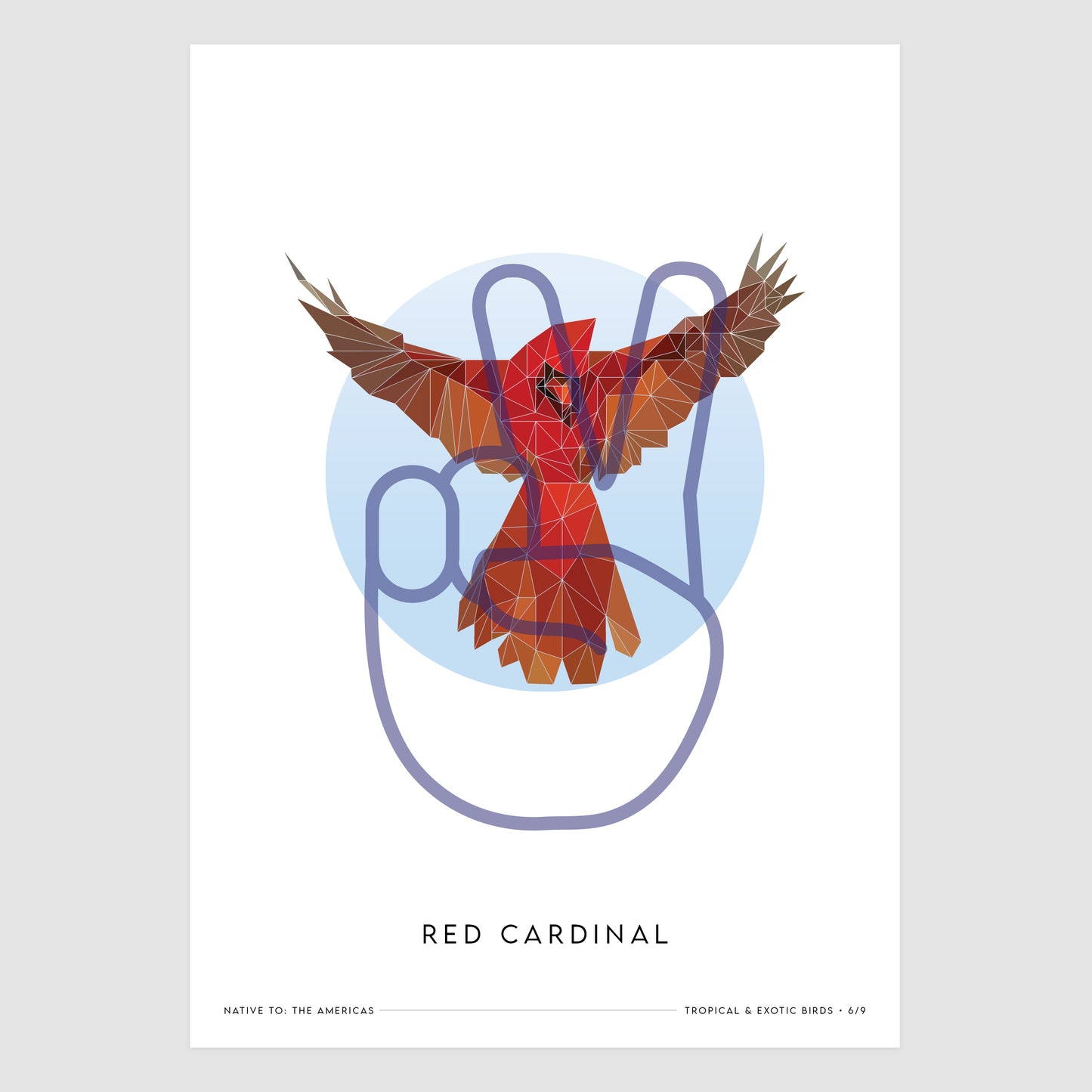 Red Cardinal