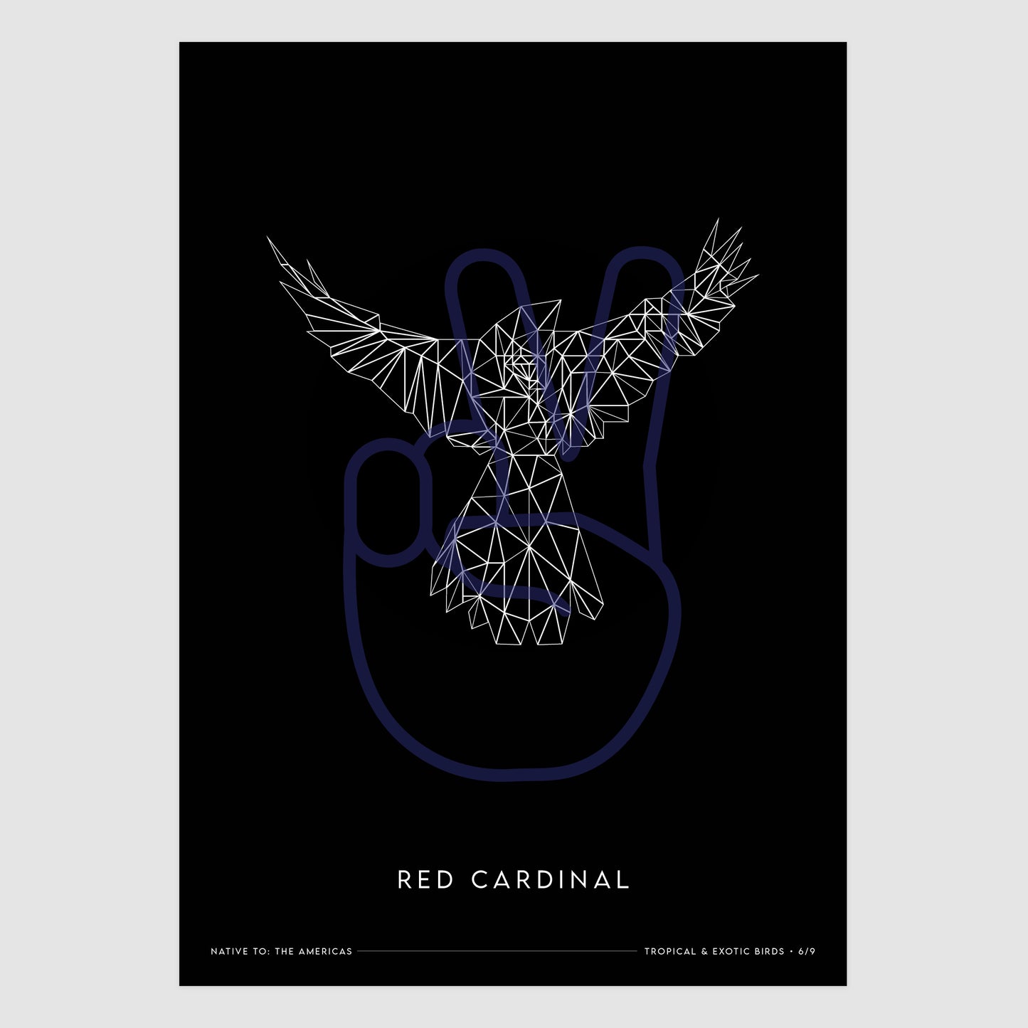 Red Cardinal
