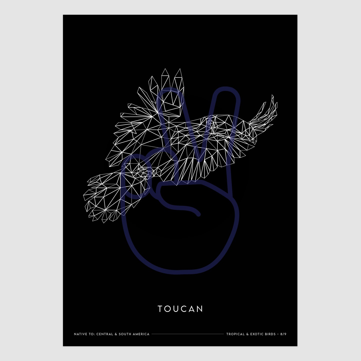 Toucan