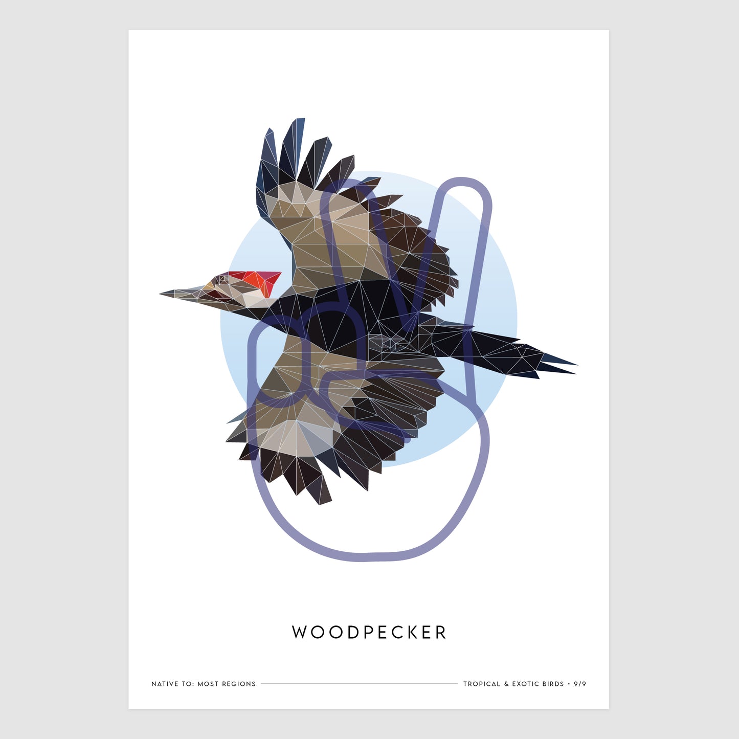 Woodpecker