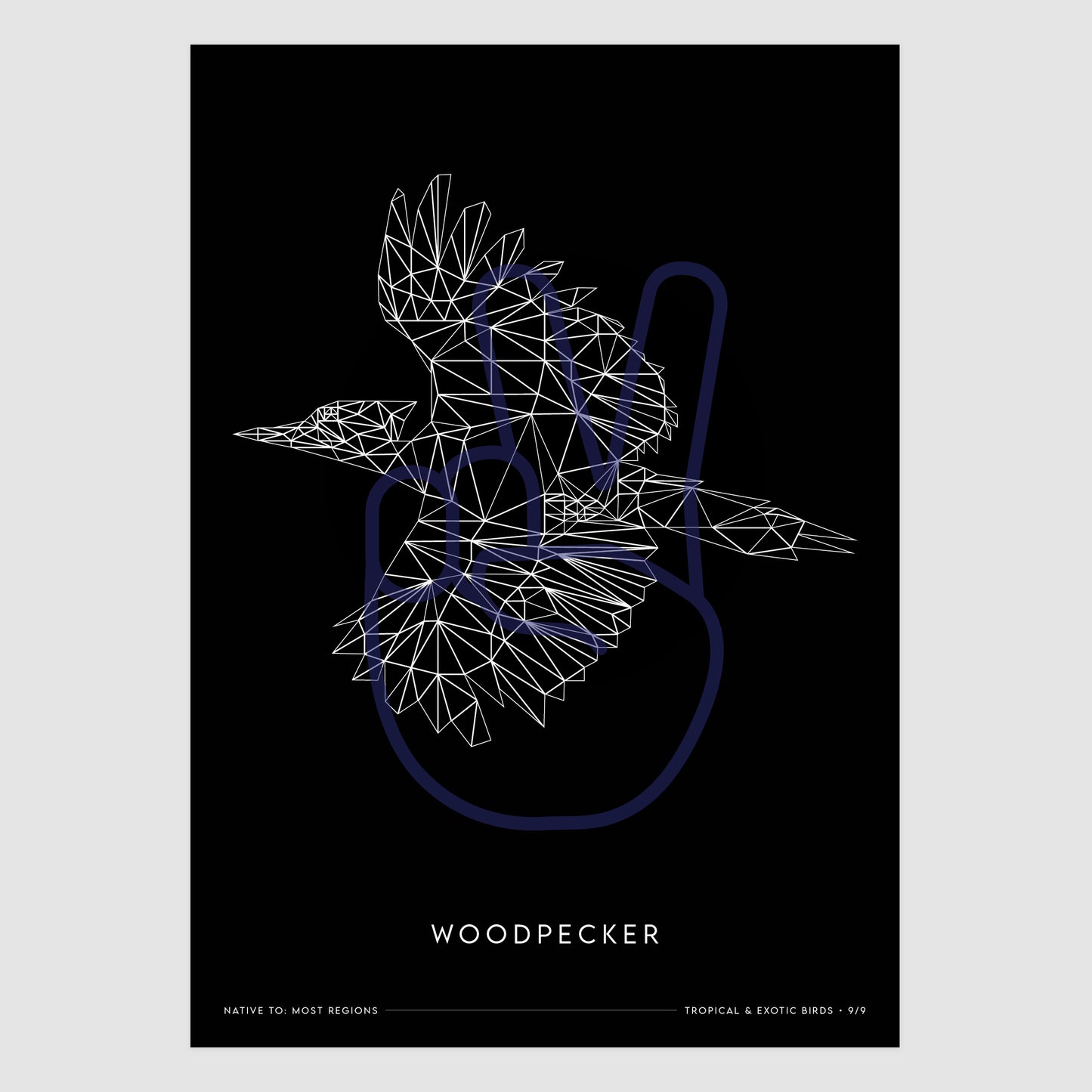 Woodpecker