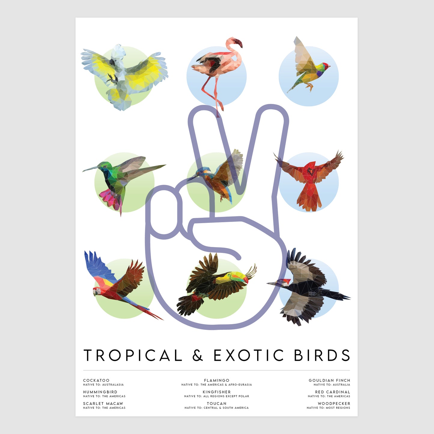 Tropical & Exotic Birds