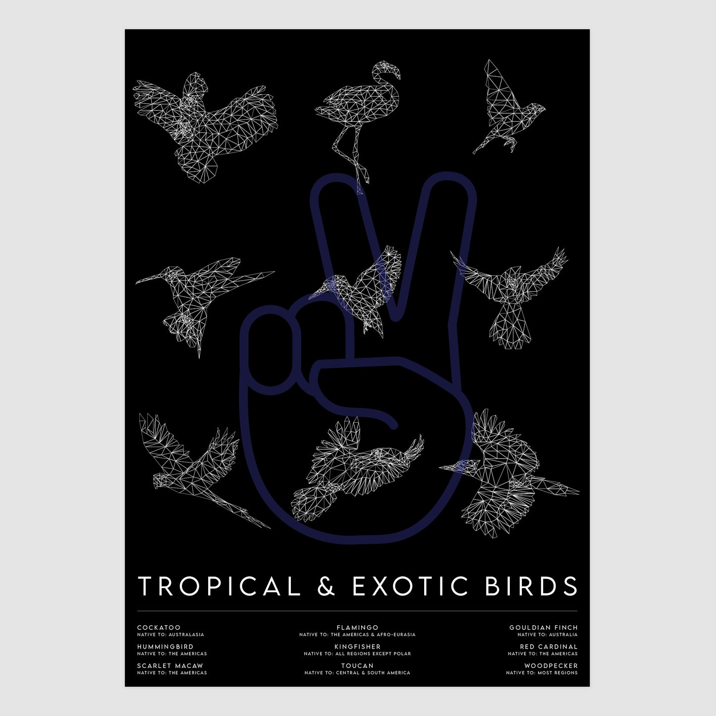Tropical & Exotic Birds