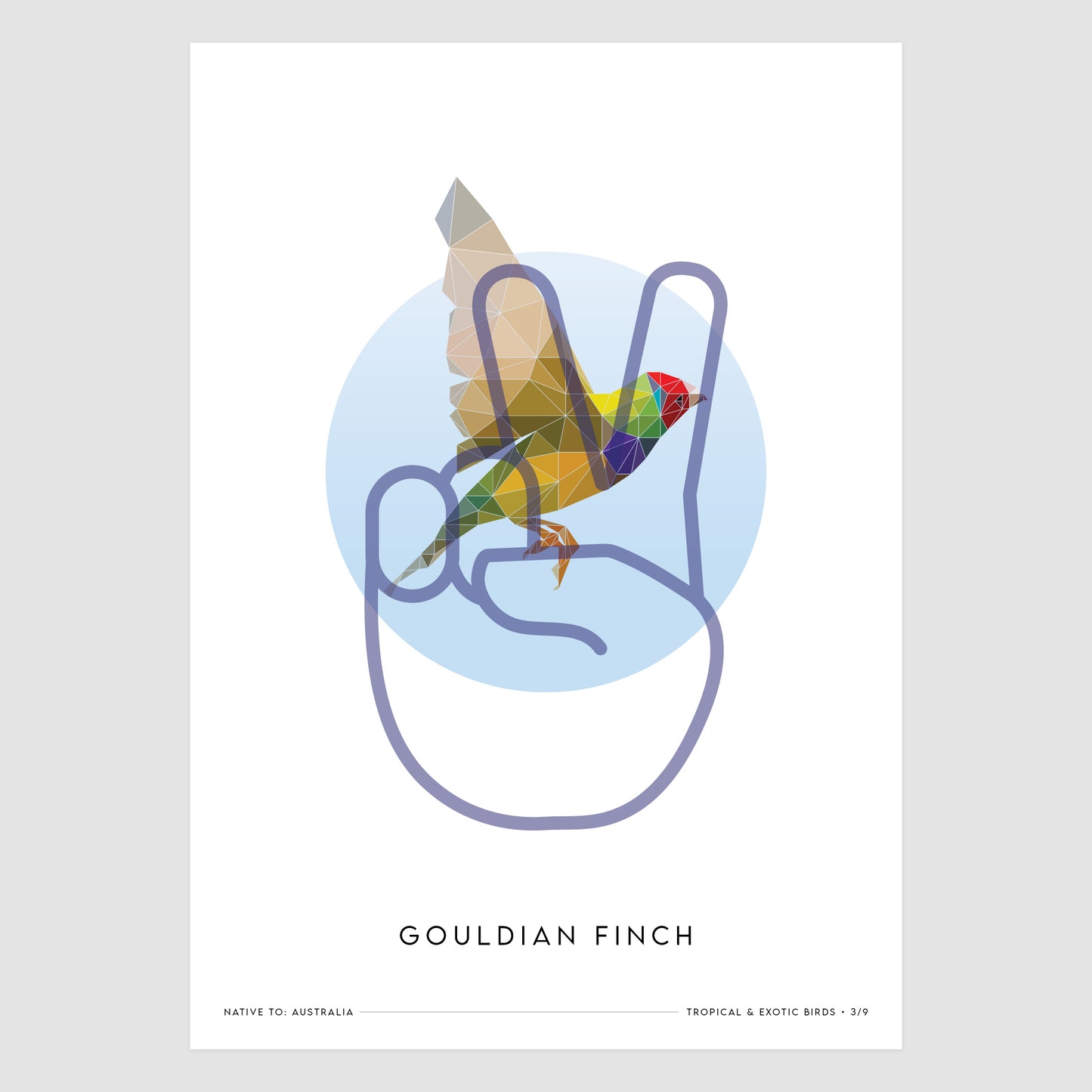 Gouldian Finch