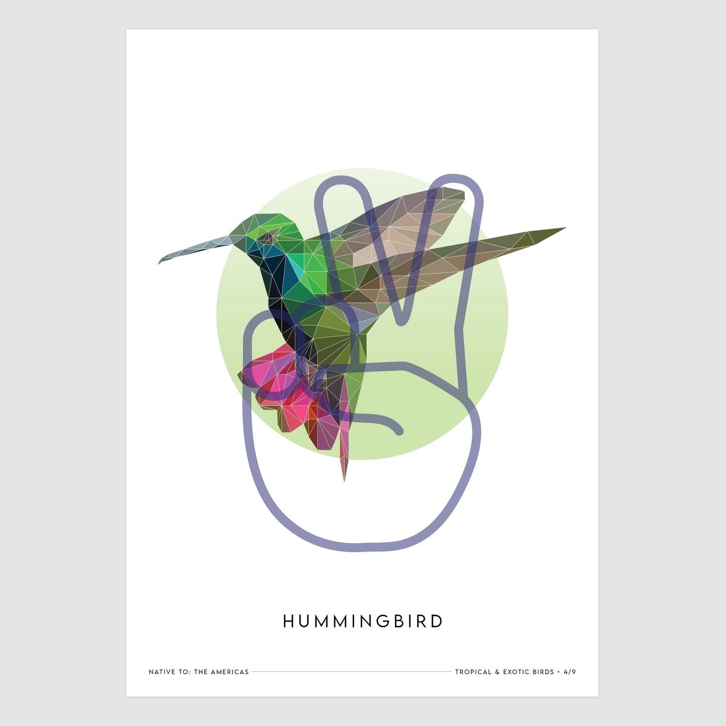Hummingbird