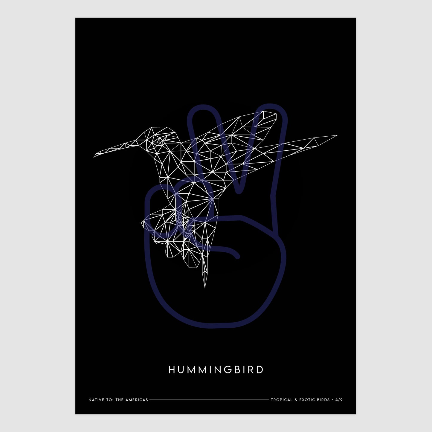 Hummingbird